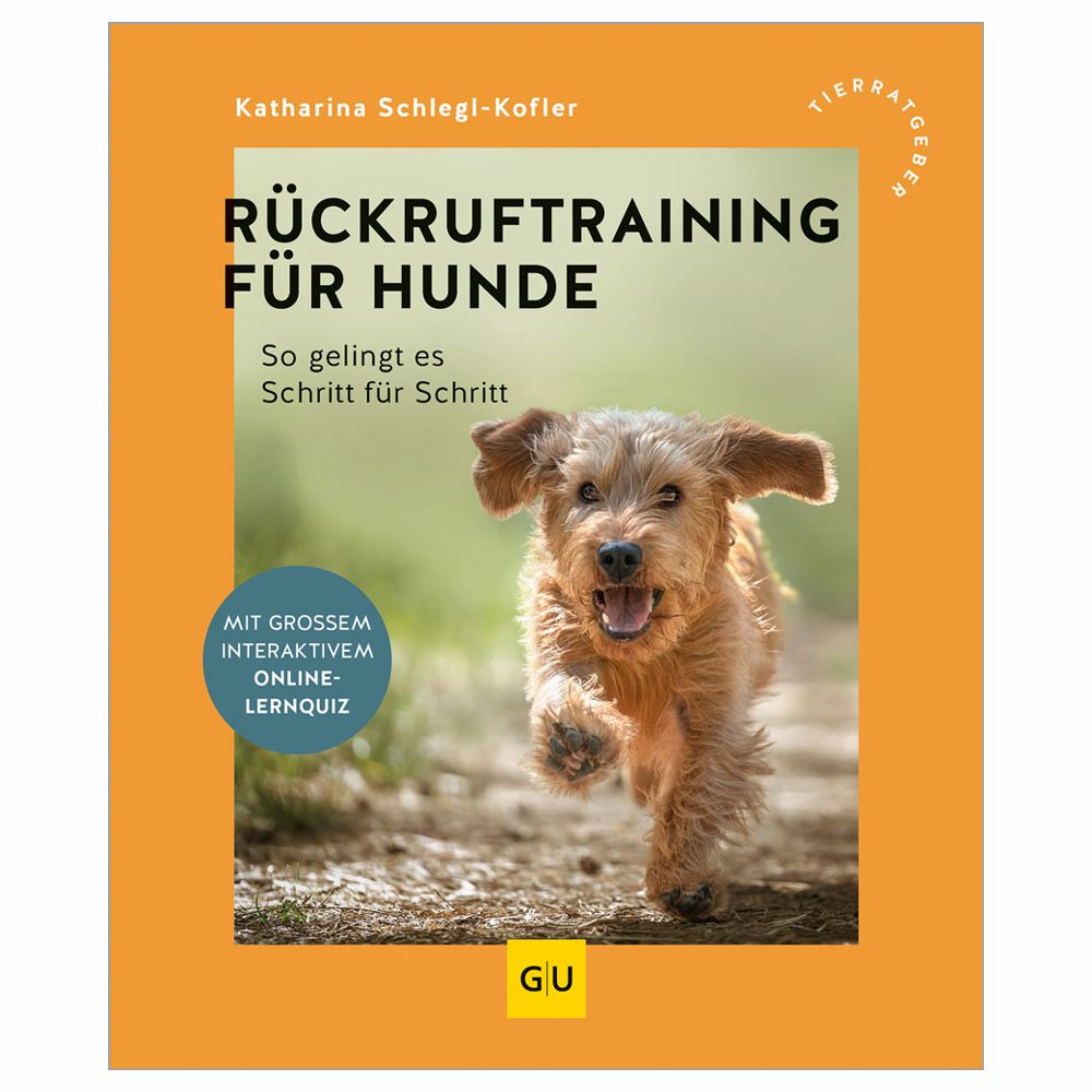 Rückruftraining für Hunde - So gelingt es Schritt für Schritt