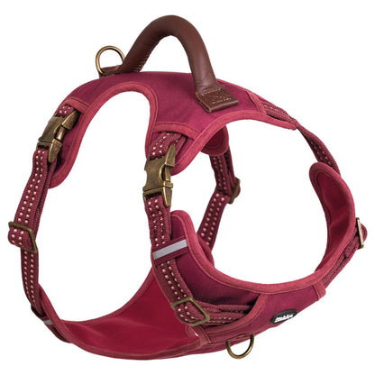 Nobby Geschirr SPORTY - S-M / 01 - rot