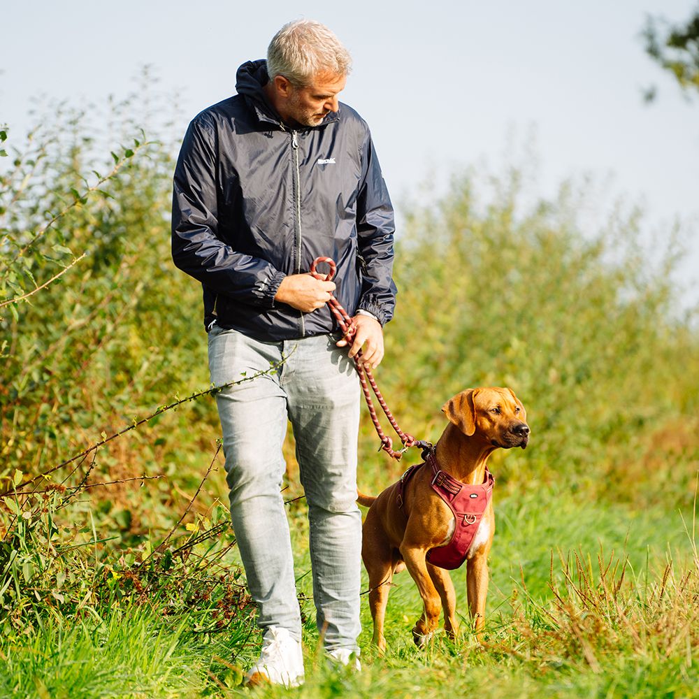 Nobby Geschirr SPORTY - Canvas/Neopren - reflektiert - Hundegeschirr Komfortgeschirr