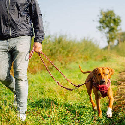 Nobby Geschirr SPORTY - Canvas/Neopren - reflektiert - Hundegeschirr Komfortgeschirr