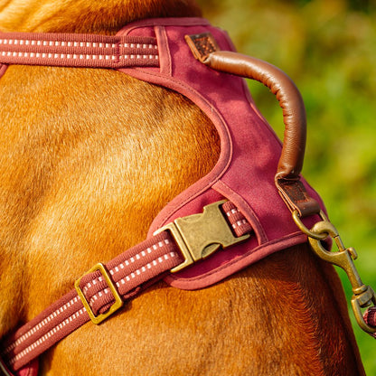 Nobby Geschirr SPORTY - Canvas/Neopren - reflektiert - Hundegeschirr Komfortgeschirr