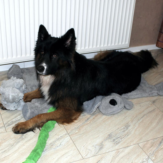 Nobby Kuschelmatte DOGGY - Spielmatte Schutzdecke Schlafplatz Hundematte - grau