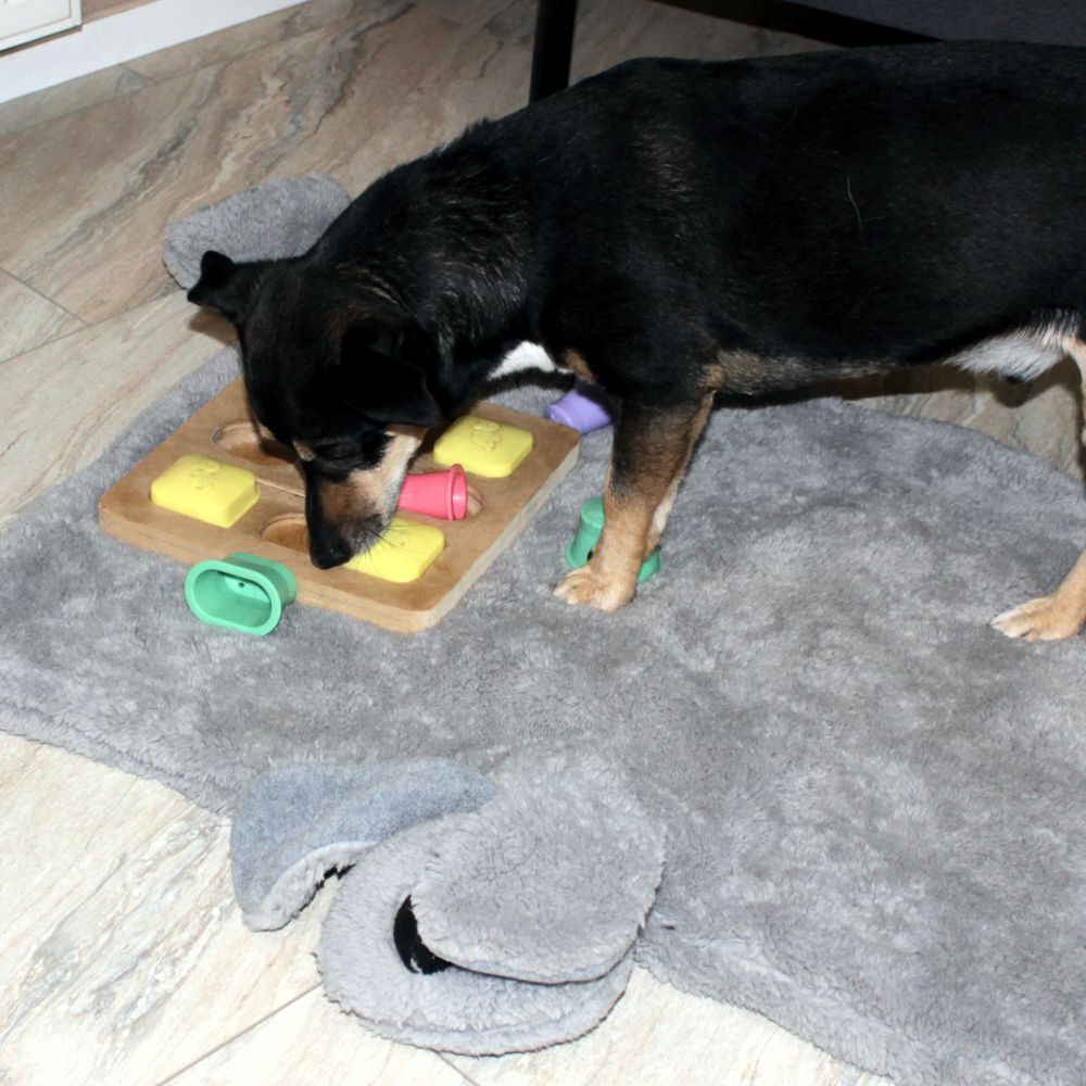 Nobby Kuschelmatte DOGGY - Spielmatte Schutzdecke Schlafplatz Hundematte - grau