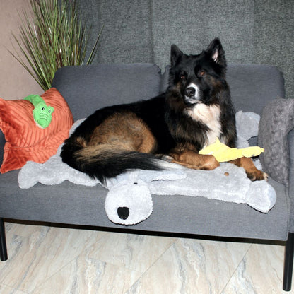 Nobby Kuschelmatte DOGGY - Spielmatte Schutzdecke Schlafplatz Hundematte - grau