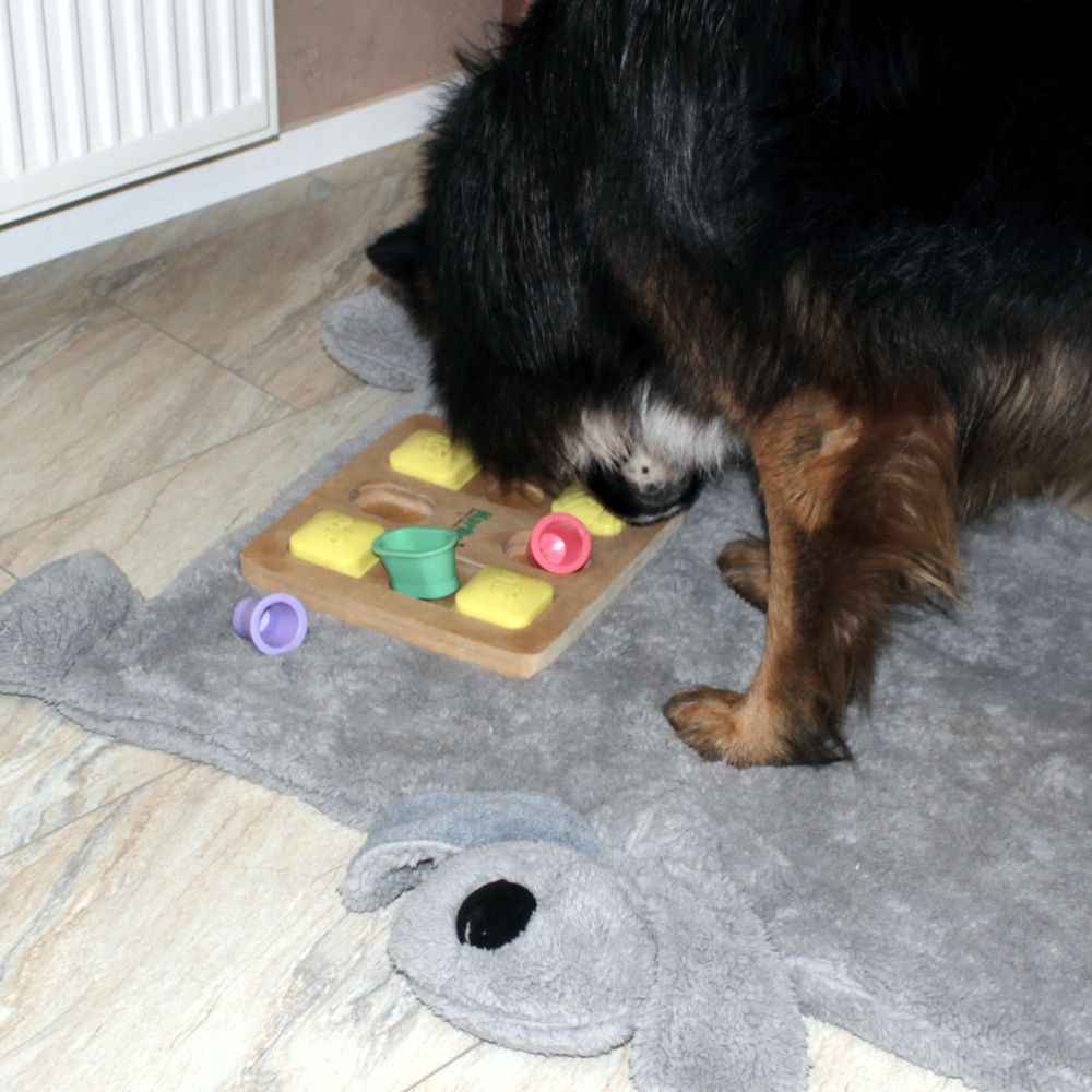 Nobby Kuschelmatte DOGGY - Spielmatte Schutzdecke Schlafplatz Hundematte - grau