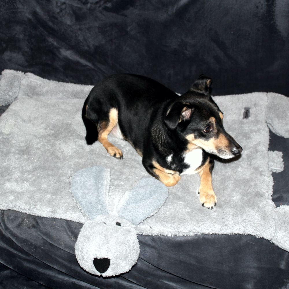 Nobby Kuschelmatte DOGGY - Spielmatte Schutzdecke Schlafplatz Hundematte - grau