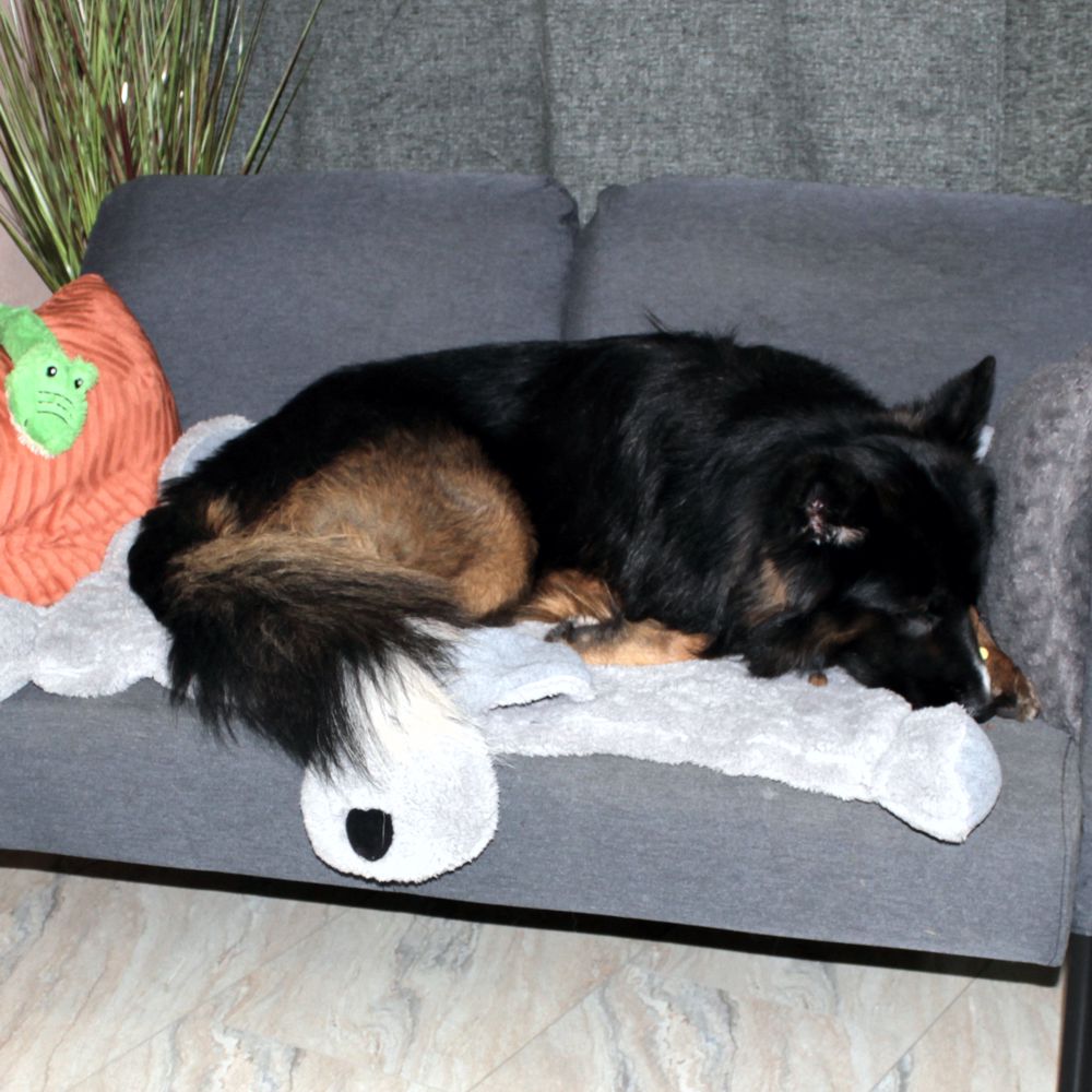 Nobby Kuschelmatte DOGGY - Spielmatte Schutzdecke Schlafplatz Hundematte - grau