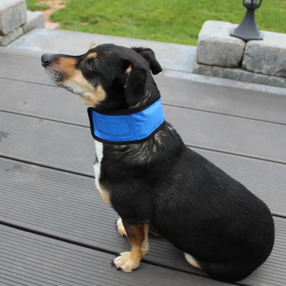 Nobby COOLING LOOP - Gel-Kühlhalsband - Kühlband Kühltuch - Abkühlung für Hunde
