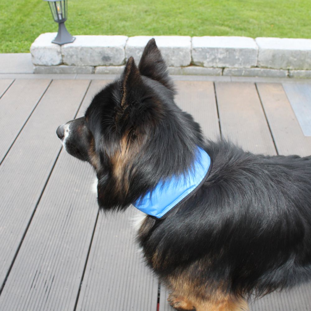 Nobby COOLING LOOP - Gel-Kühlhalsband - Kühlband Kühltuch - Abkühlung für Hunde