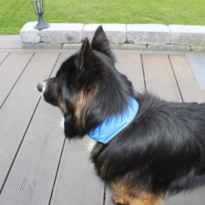 Nobby COOLING LOOP - Gel-Kühlhalsband - Kühlband Kühltuch - Abkühlung für Hunde