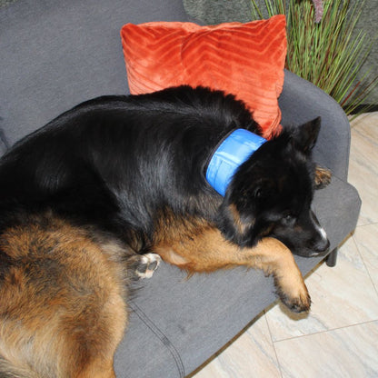 Nobby COOLING LOOP - Gel-Kühlhalsband - Kühlband Kühltuch - Abkühlung für Hunde