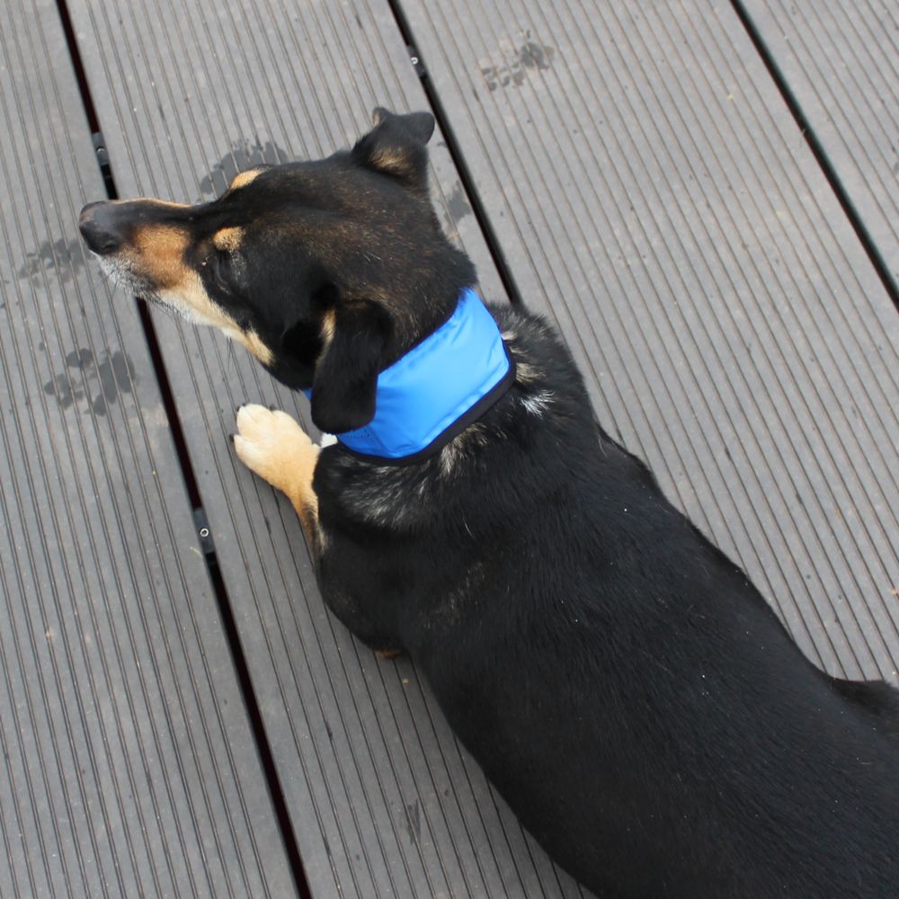 Nobby COOLING LOOP - Gel-Kühlhalsband - Kühlband Kühltuch - Abkühlung für Hunde