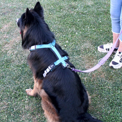 Nobby Y-Geschirr DAILY WALK COMFORT - Hundegeschirr Komfortgeschirr reflektiert