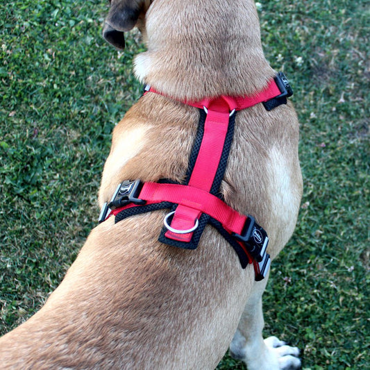Nobby Y-Geschirr DAILY WALK COMFORT - Hundegeschirr Komfortgeschirr reflektiert