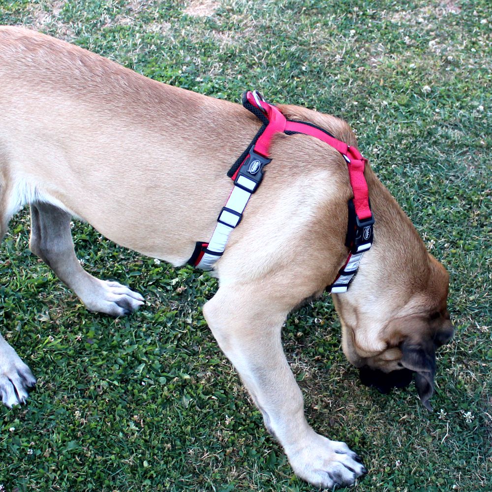 Nobby Y-Geschirr DAILY WALK COMFORT - Hundegeschirr Komfortgeschirr reflektiert