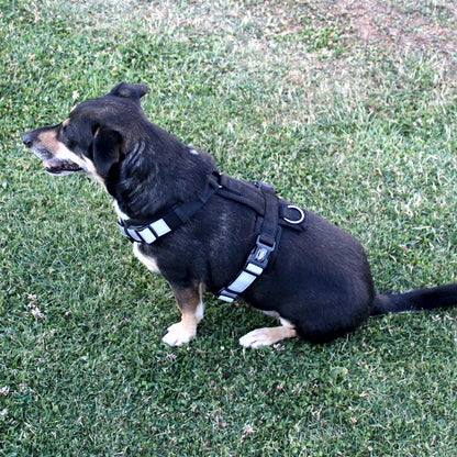 Nobby Y-Geschirr DAILY WALK COMFORT - Hundegeschirr Komfortgeschirr reflektiert