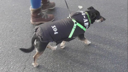 Nobby Hundemantel X04 2 in 1 - schwarz - mit Geschirr Hundejacke Regenmantel