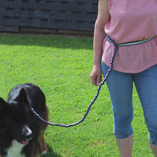 Nobby Joggingleine ELASTIC mit Hüftgurt - Walkingleine Sportleine elastisch