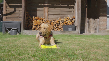 Nobby Vollgummi Knochen - flexibles Kauspielzeug - Hundespiel Zahnpflege