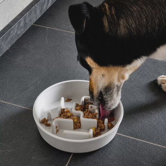 Beeztees Anti-Schling-Napf - 3 Größen - Fressnapf Futternapf für Hunde/Katzen