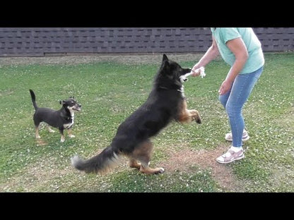 Karlie Knotenseil 30 cm lang - weiß - Baumwoll-Seil Zerrspiel Spielseil Kauseil