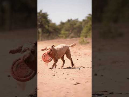 Dog Comets UFO FLYER - Wurfscheibe - Ø 24 cm - Apportierspielzeug - schwimmt