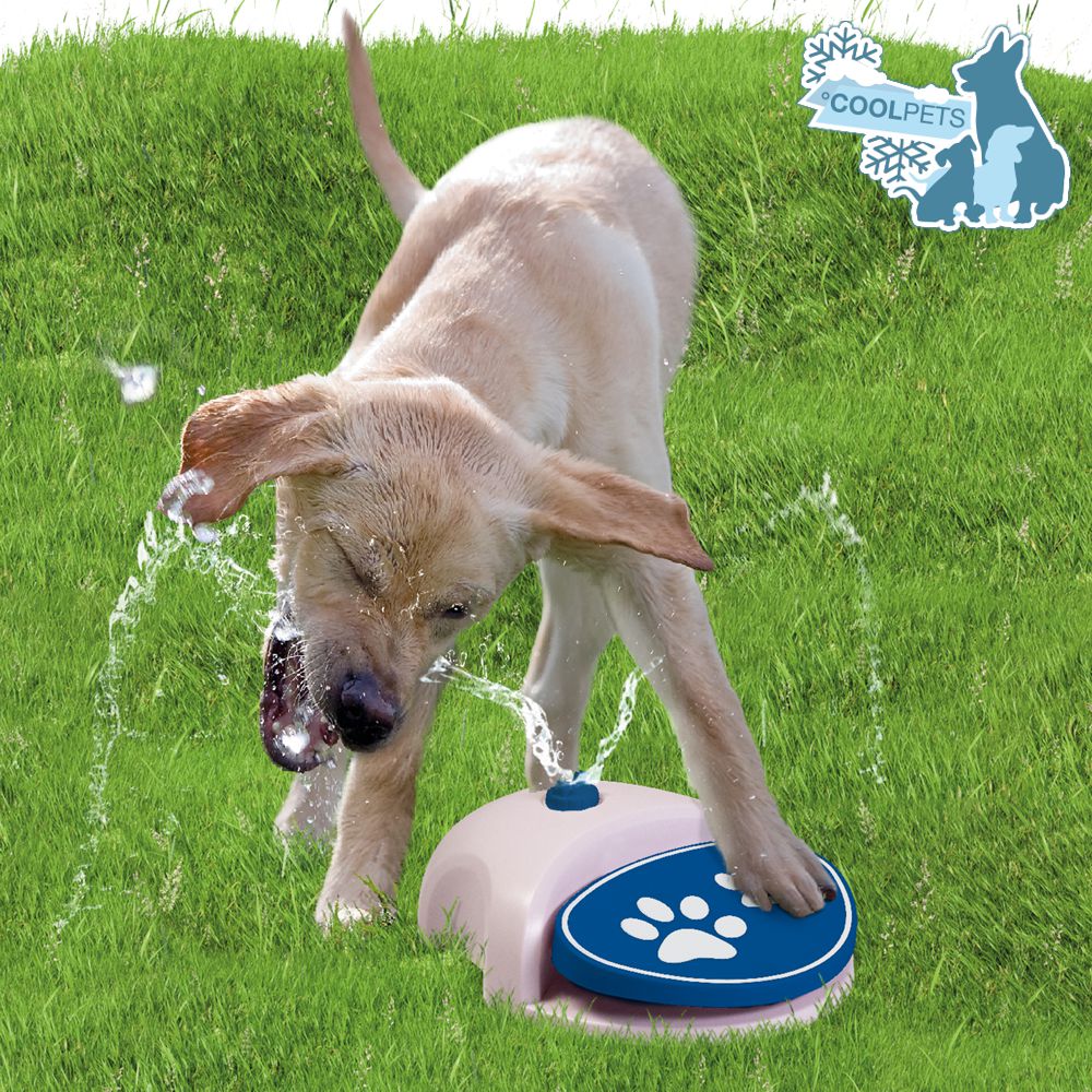 CoolPets Wasserfontaine SPLASH - Hundetränke - Wasserspender - Trinkbrunnen